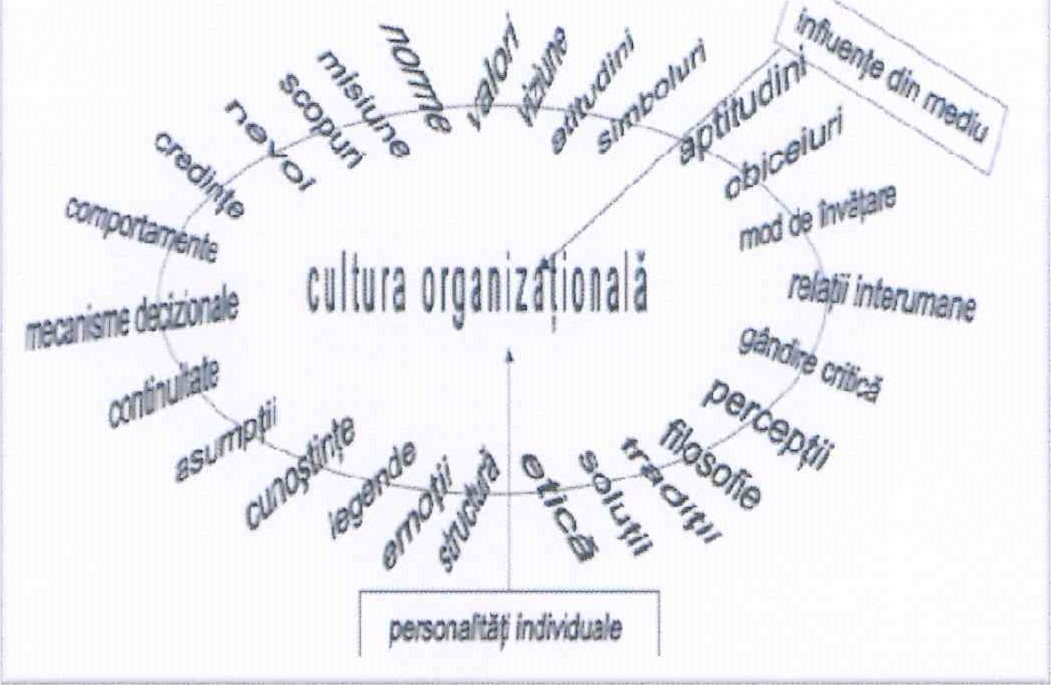 Cultura organizationala Colegiu Univesitar Craiova.jpg